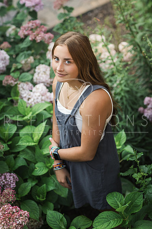 Aschoff_0087