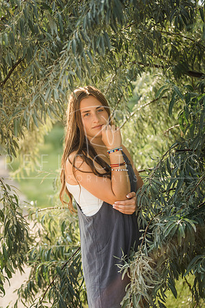 Aschoff_0132