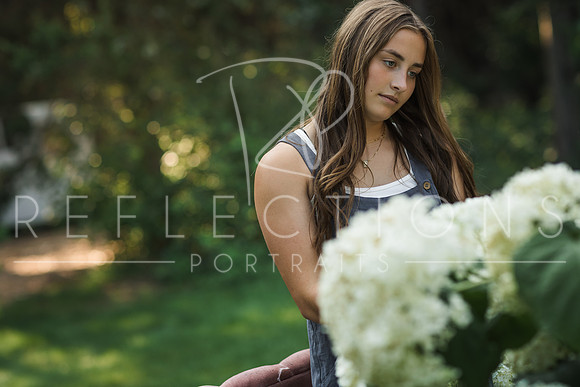 Aschoff_0097
