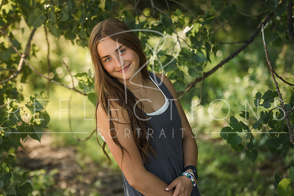 Aschoff_0129