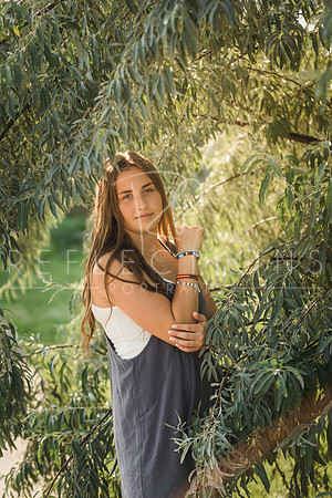 Aschoff_0131