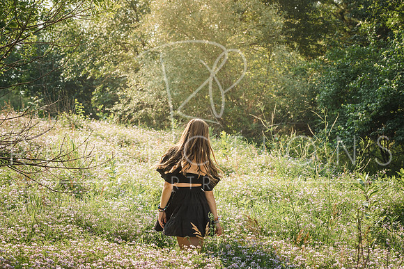 Aschoff_0179