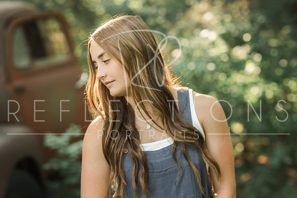 Aschoff_0023