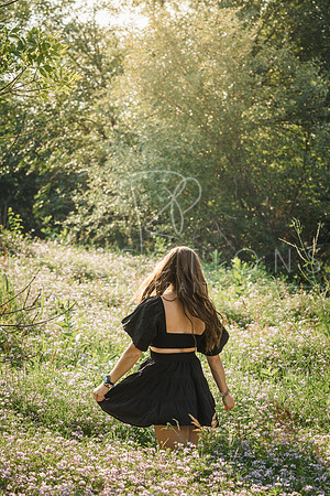 Aschoff_0177