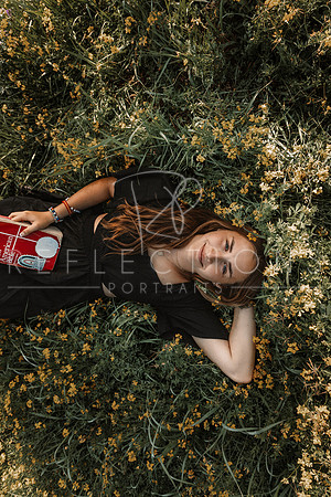 Aschoff_0219